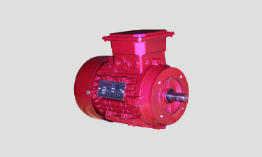 A. C. Induction Motors