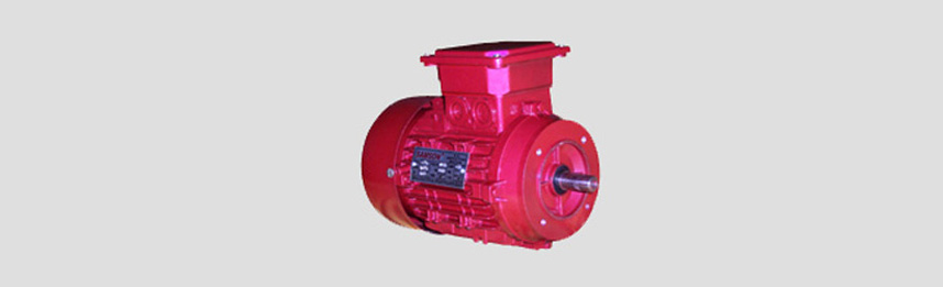 A. C. Induction Motors