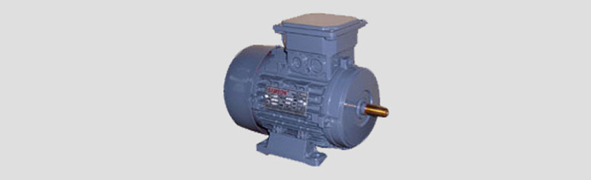 Three Phase Motors