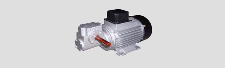 Worm Gear Motors