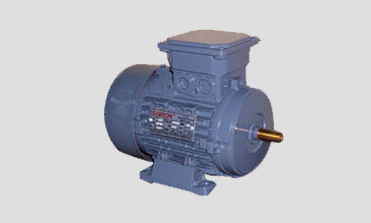 Three Phase Motors