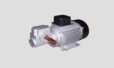 Worm Gear Motors